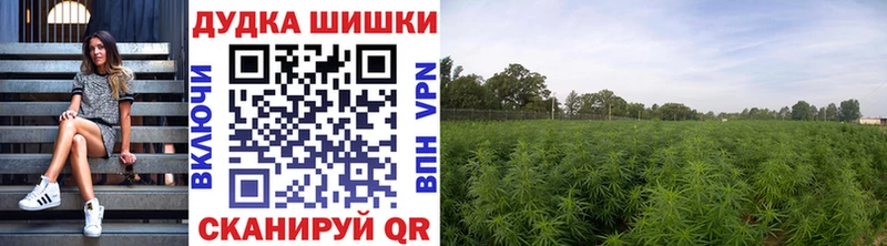 Виды наркоты Туапсе A PVP МАРИХУАНА COCAIN МЕФ ГАШИШ