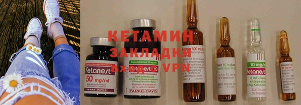 индика Кулебаки