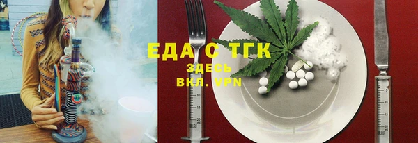 индика Кулебаки