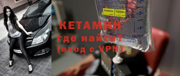 индика Кулебаки