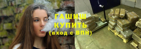 индика Кулебаки