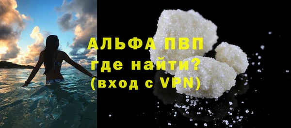 индика Кулебаки