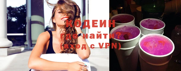индика Кулебаки