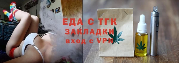 индика Кулебаки