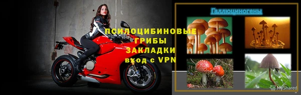 индика Кулебаки