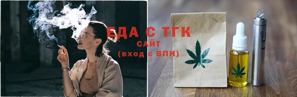 индика Кулебаки