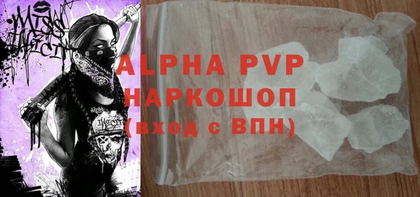 индика Кулебаки